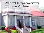 WTZ Czubin